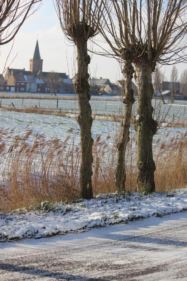 Maneschijn**** Villa Middelkerke Esterno foto