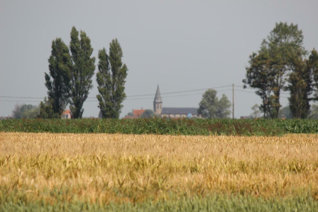 Maneschijn**** Villa Middelkerke Esterno foto